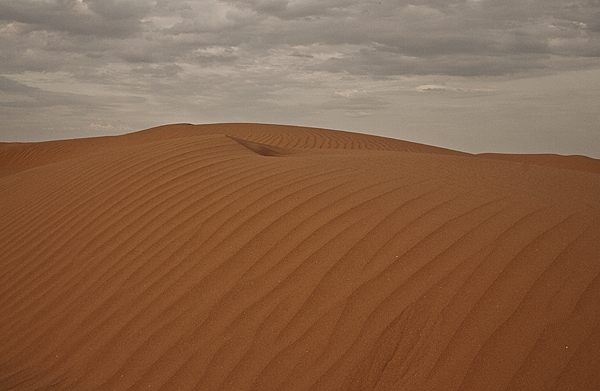 Пески в астраханской пустыне