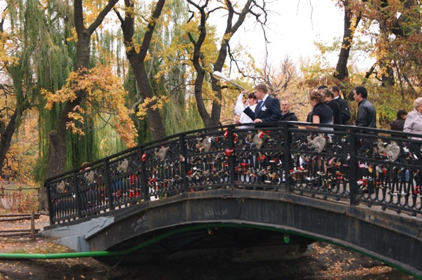 свадьба в парке Лукоморье