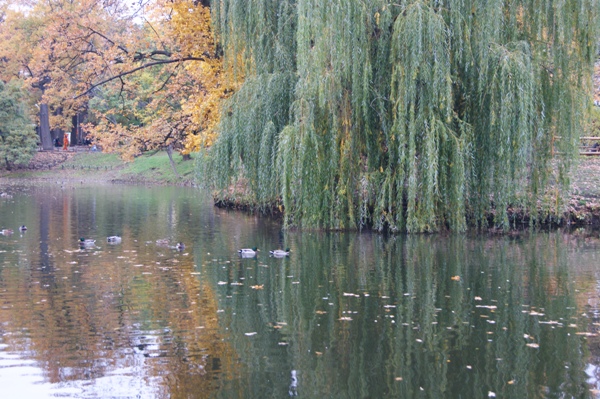 Осень в парке Лукоморье