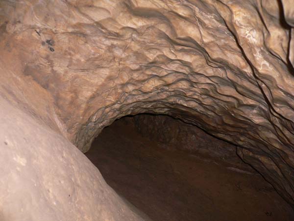 Баскунчакская пещера, Шкуродер