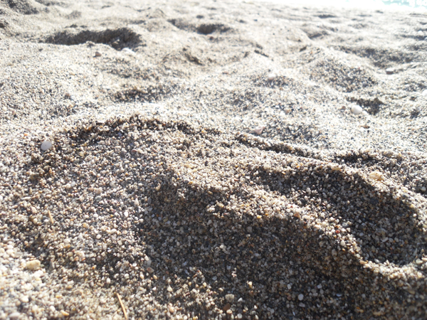 камушки на пляжу