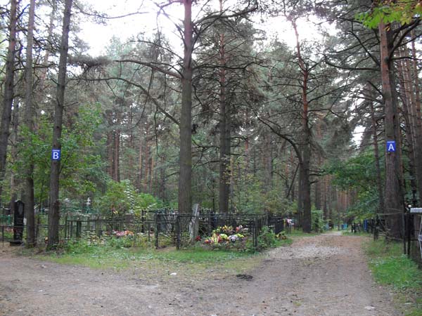 кладбище, деревня Саурово