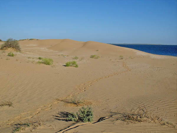 Песчаные барханы на берегу Волги