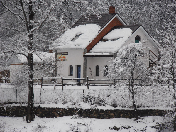 аквариум зимой