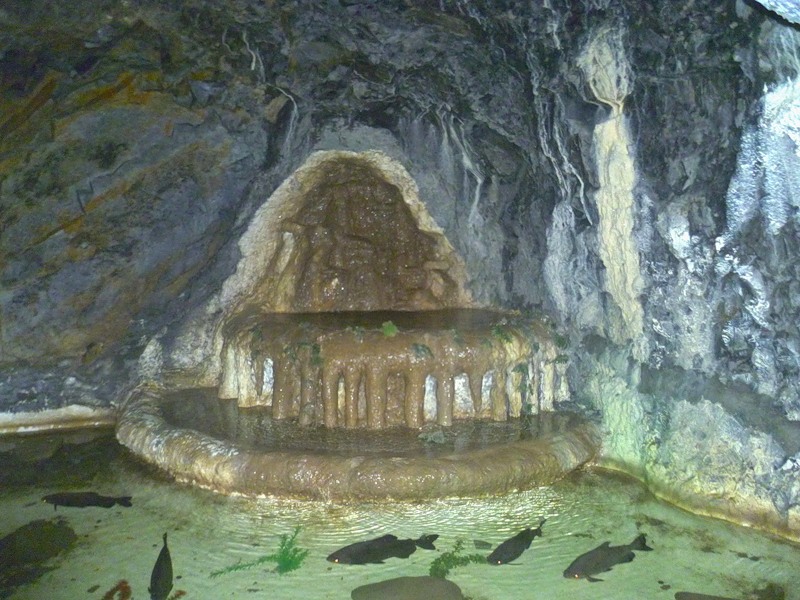 сафари-парк пещера