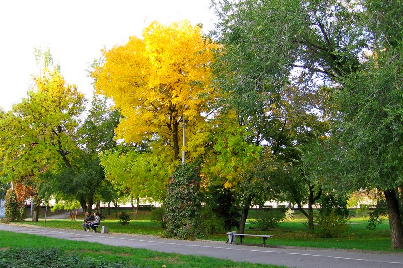 городской парк осенью