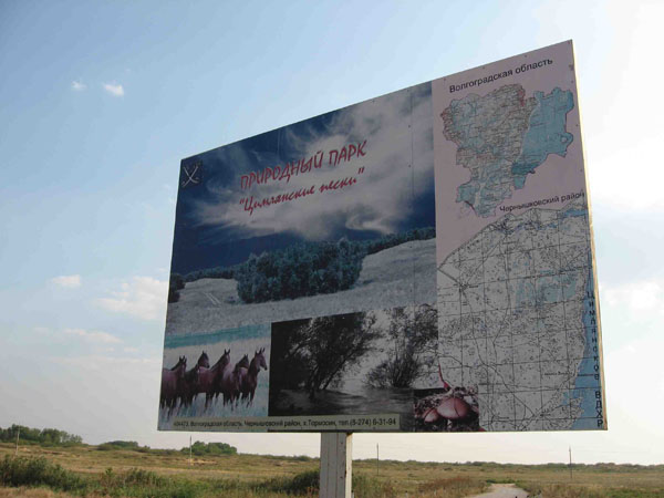Природный парк Цимлянские пески, Волгоградская область.