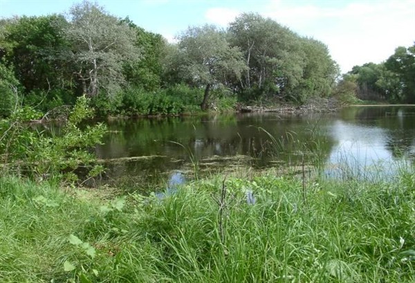 Пойма реки Дон, Природный парк Донской