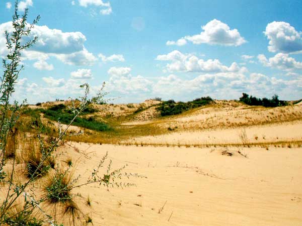 Кумылженские пески, Природный парк Нижнехоперский
