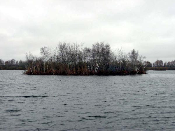 Плавающие острова, озера Большое и Малое Бабье (Бабинские)